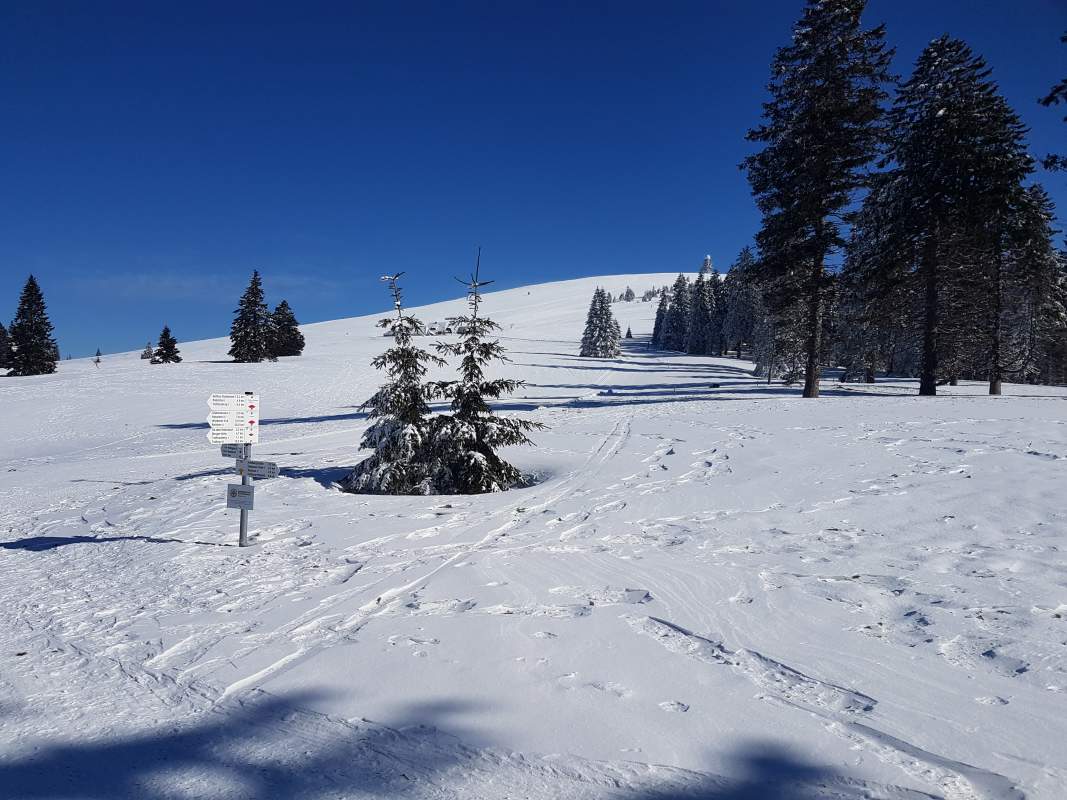 Auch bei hohen Schneemengen von über 1 m Schnee, müssen die Wegweiser in unserem Gebiet sichtbar sein (Bild: Feldberg, Abzweigung Todtnauer Hütte)