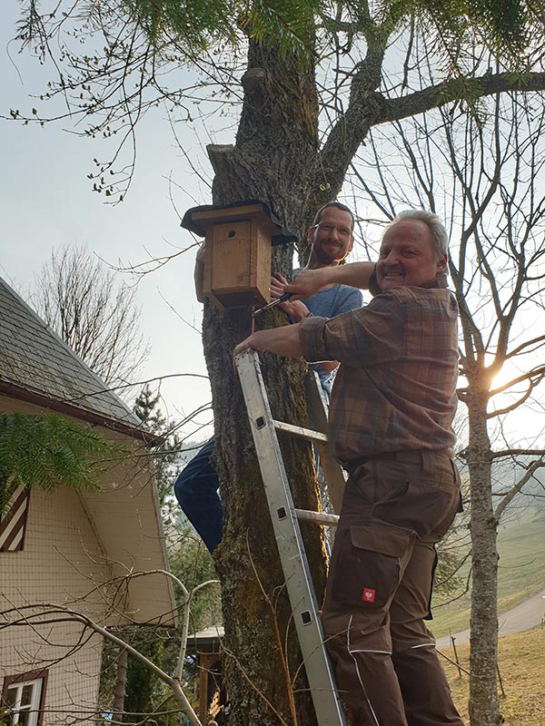 nistkästen_aufhängen